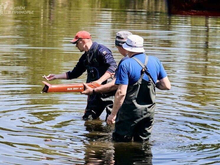 В память о герое СВО приморцы поучаствовали в «Аква-Техно-Шоу – 2025»