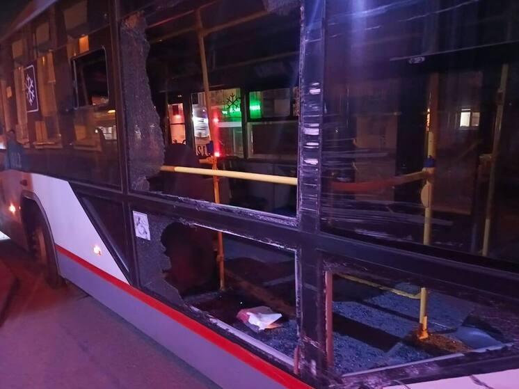 В Краснодаре в столкновении троллейбуса и пожарной машины пострадал ребёнок