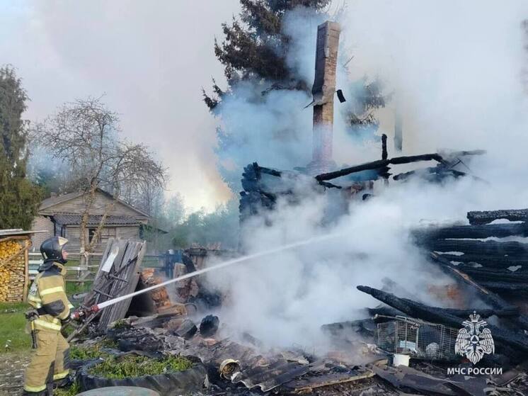 Огонь спалил дом в Окуловском округе