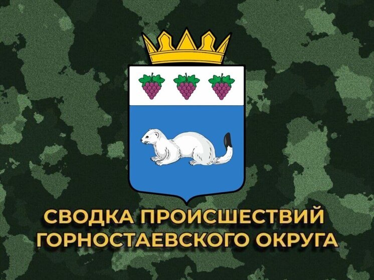 Обстрел ВСУ повредил энергетический объект в Горностаевском округе