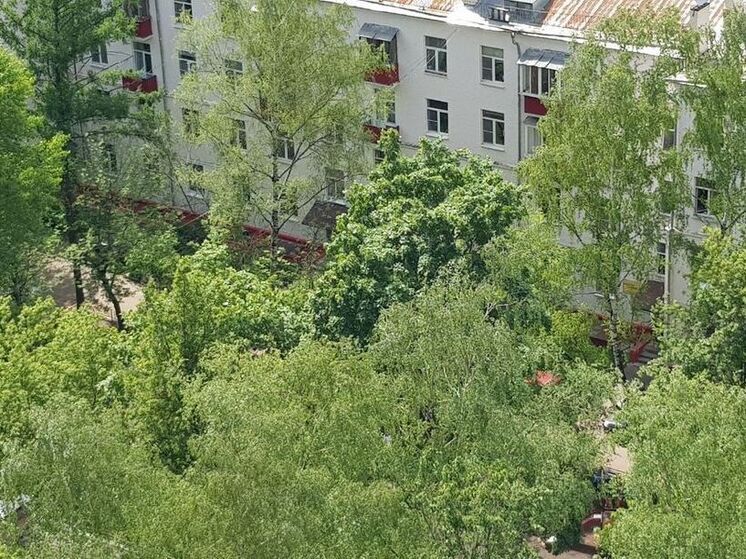 «Желтый» уровень погодной опасности объявили в Подмосковье