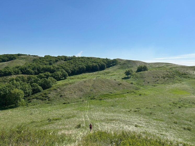 В Башкирии в понедельник ночью возможны заморозки