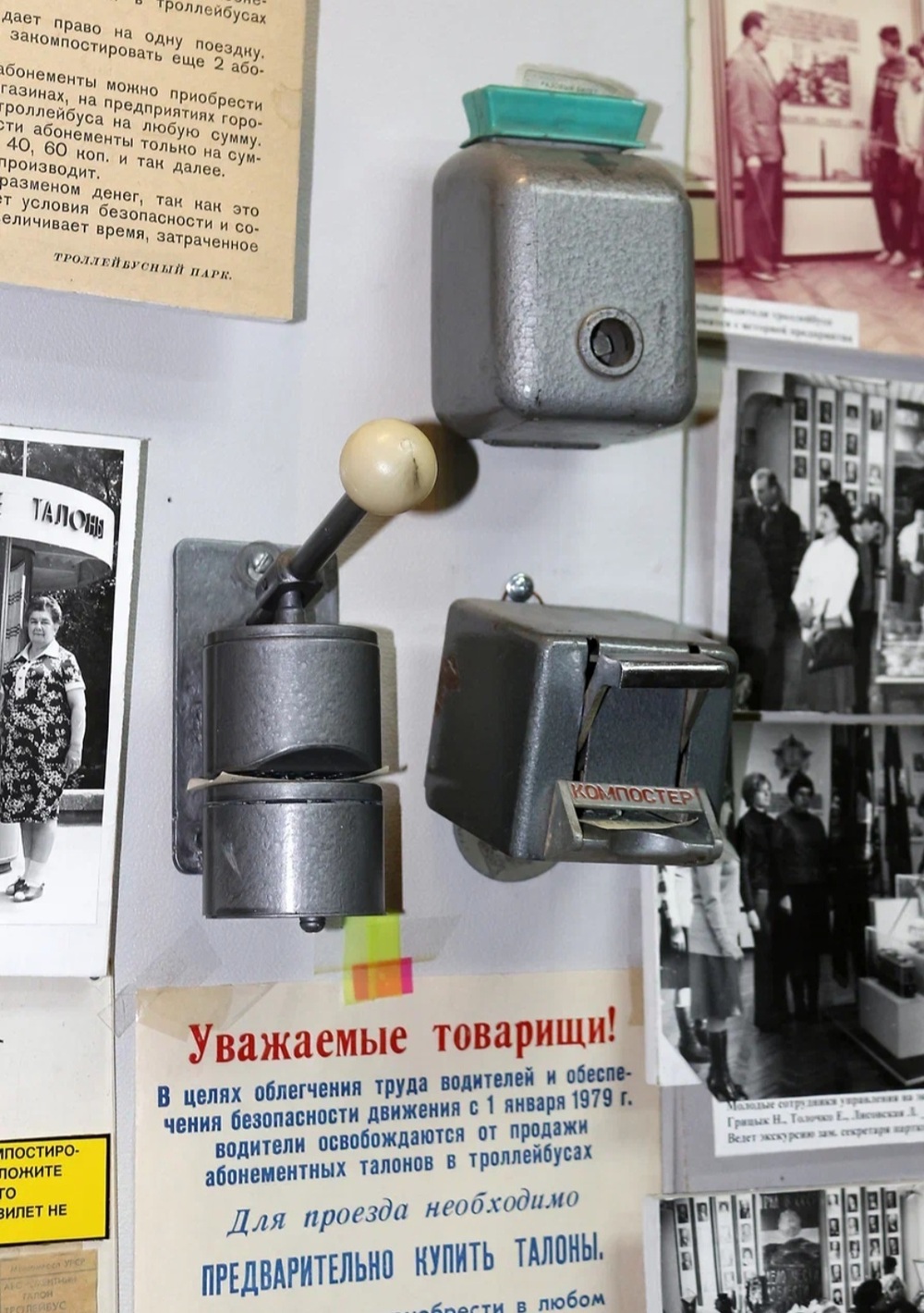 От доисторических хищников до боспорских эпитафий: о чем расскажут музеи Крыма