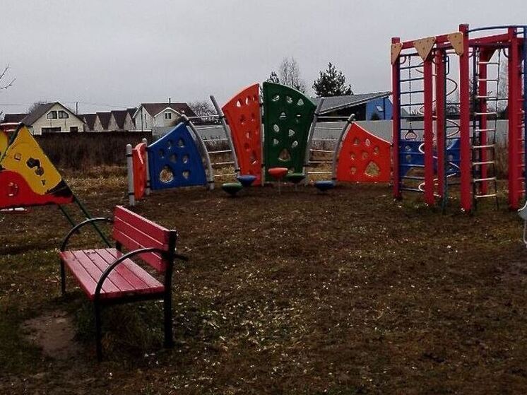В Приозерском районе на ребенка на детской площадке напал еж