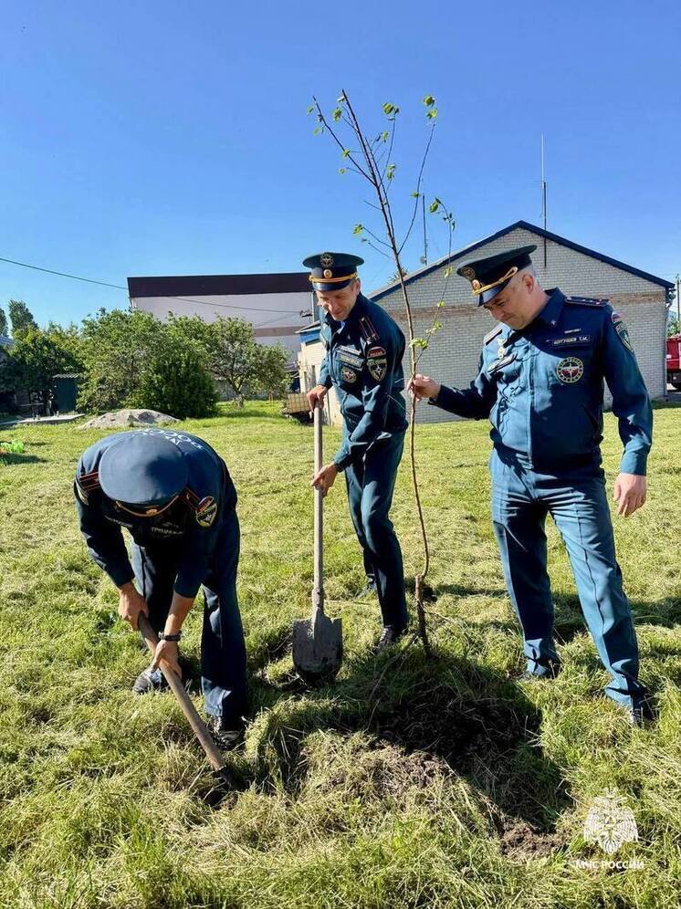 Сотрудники МЧС Ставрополья высадили Аллею столетия