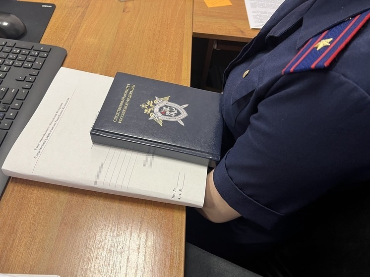 В Калмыкии проверят сообщение в соцсетях об избиении школьницы