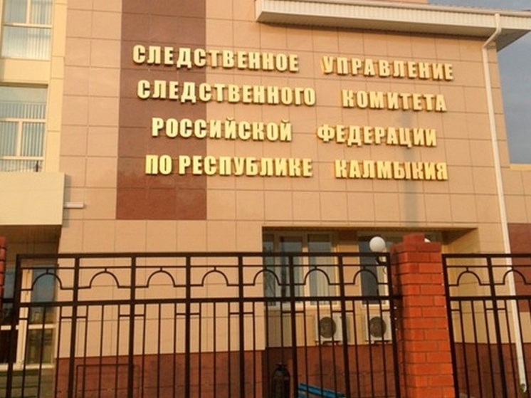 Следком России держит на контроле уголовное дело по заявлению жительницы Калмыкии