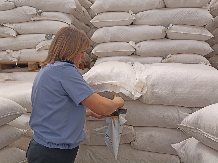 Импорт пивоваренного солода из Беларуси в Чувашию вырос на 75%