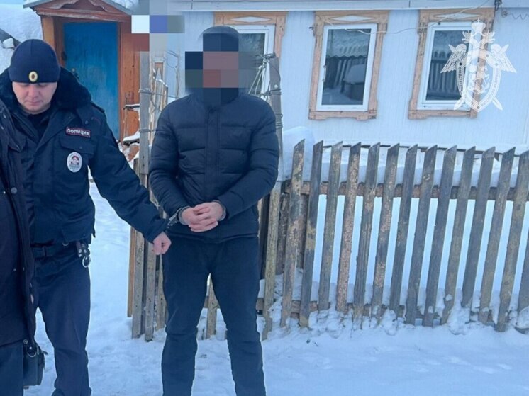 Житель Порецкого округа осужден на 12 лет за покушение на убийство, разбой, угон