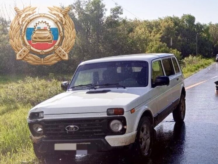 В Аткарском районе внедорожник наехал на юного велосипедиста