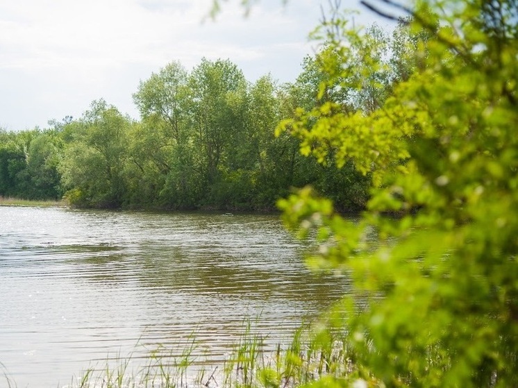 Народные приметы на 26 мая: чего не стоит делать в день Лукерьи Комарницы