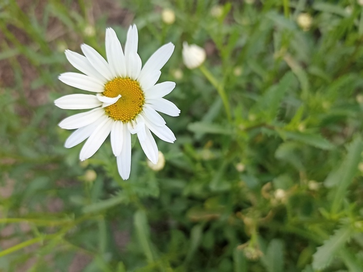 В Оренбургской области резко похолодает