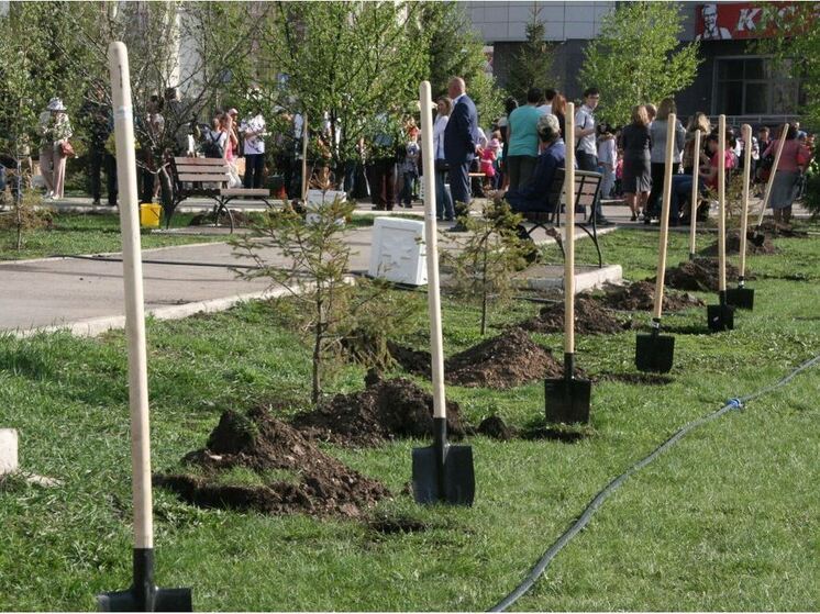 Лесоводы из Стерлитамака рассказали об опыте работы с молодым поколением