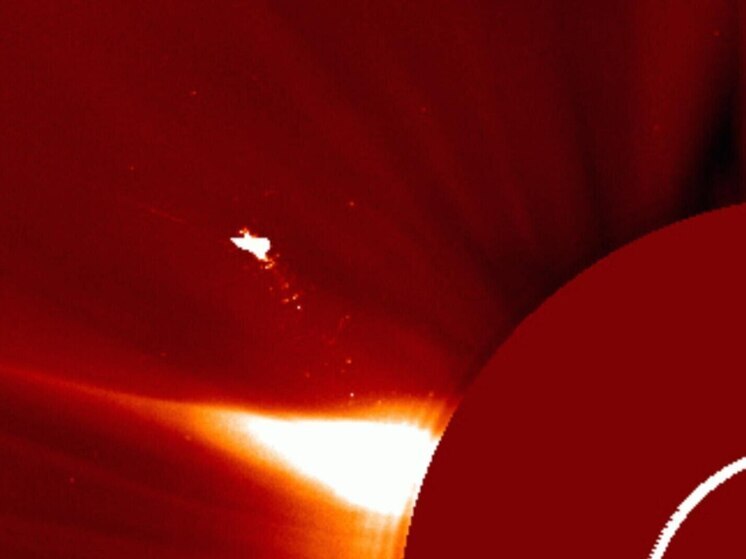 Над Солнцем обнаружили загадочную «птицу», превышающую размеры Земли в 10 раз