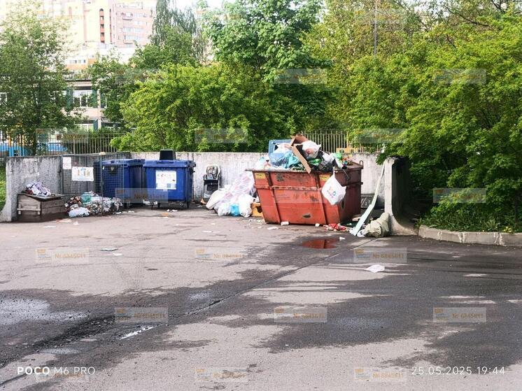 Неубранный мусор в Приморском районе стал причиной для жалобы петербуржцев
