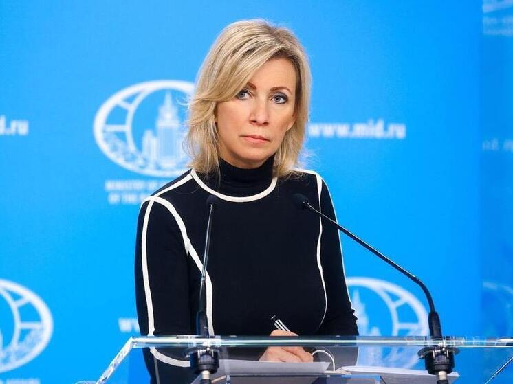 Захарова: силовики дадут оценку поступку «психа», осквернившего в Грузии флаг РФ