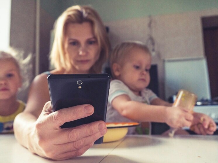 Госдума рассмотрит закон о выплате прожиточного минимума домохозяйкам