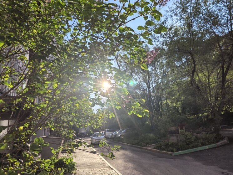 Магнитные бури в Хабаровске на неделю с 26 мая по 1 июня 2025 года