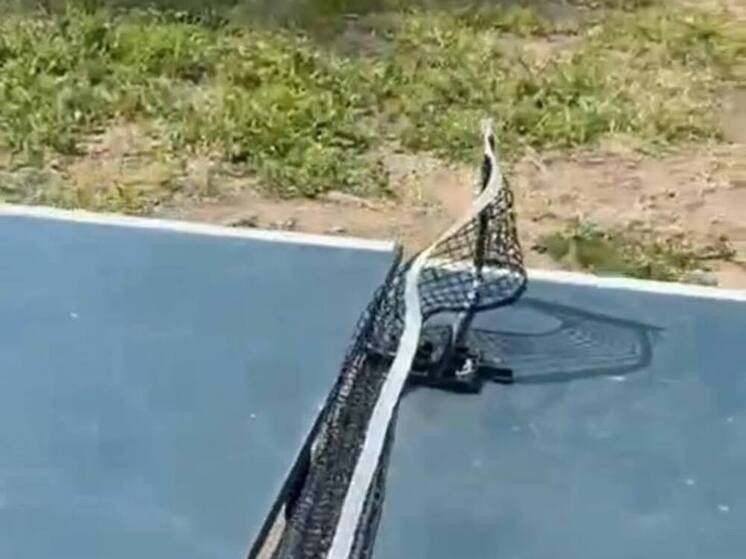 В Благовещенске вандалы напали на теннисные столы