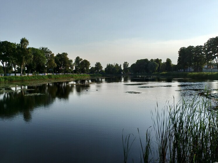 В последнюю неделю мая температура воды в водоемах столичной области будет повышаться