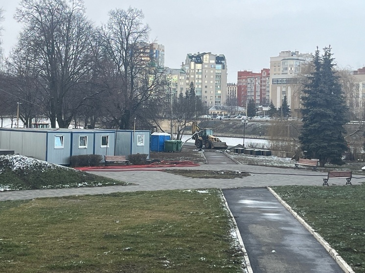 В Орле появится первый дождевой сад