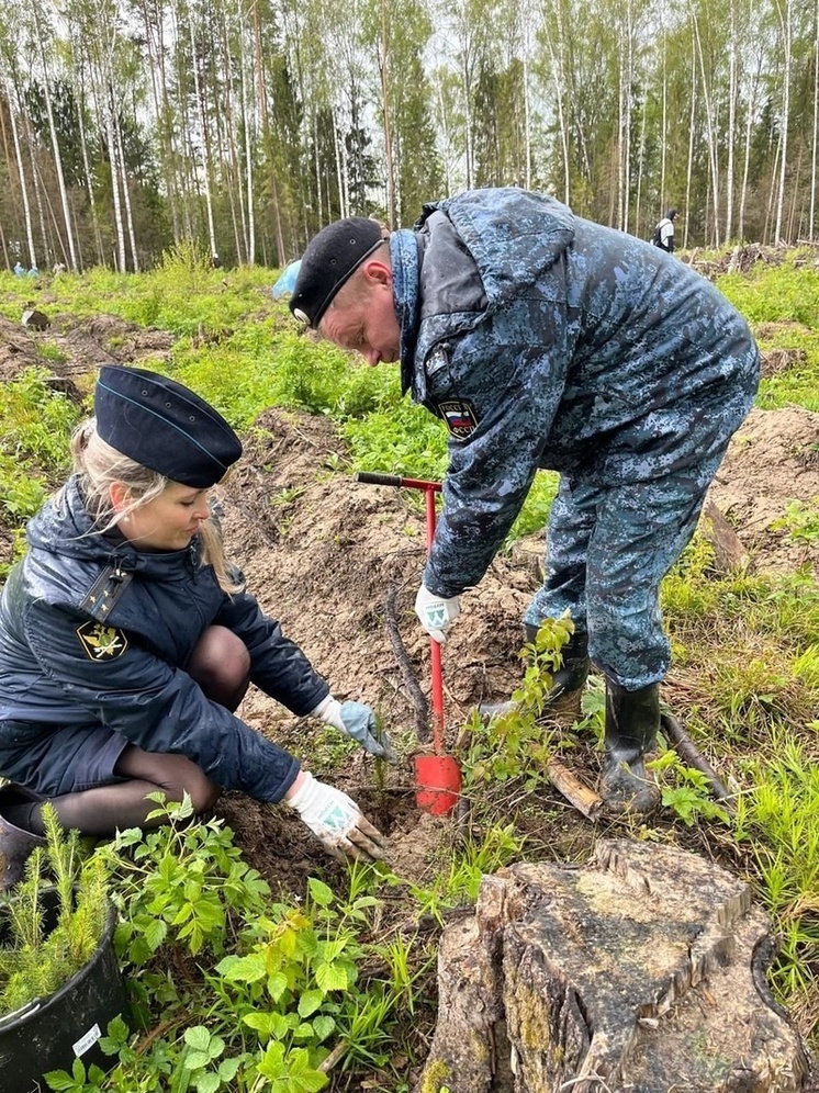 Ивановские приставы посадили сад памяти