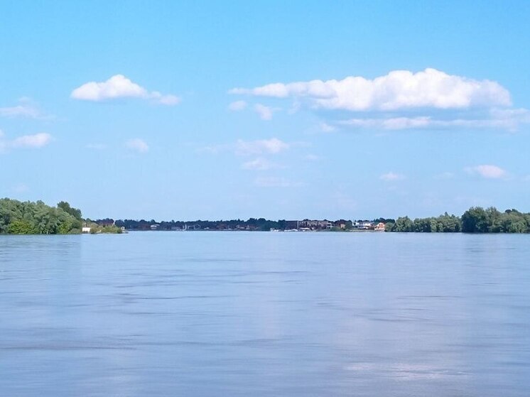 В Затоне из-за подъема уровня воды в Оби ввели режим повышенной готовности