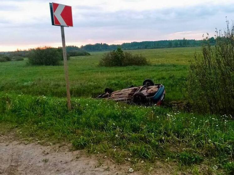 Новгородка попала в больницу после съезда машины в кювет в Шимском округе