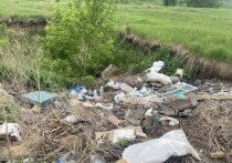 В редакцию «МК на Алтае» обратились жители поселка Октябрьский, который находится в Индустриальном районе неподалеку от села Власиха