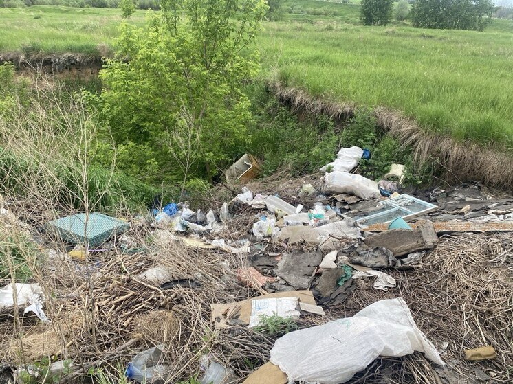 Барнаульцы пожаловались на стихийную свалку на окраине коттеджного поселка