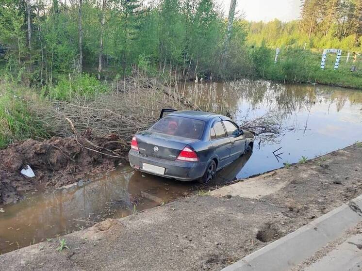 Водитель иномарки сбил пешехода на обочине дороги в Любытинском округе
