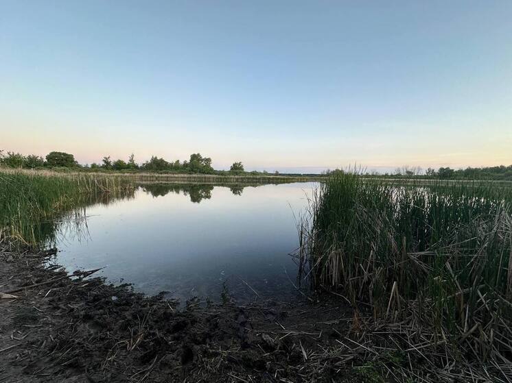 СК выясняет обстоятельства смерти липецкого подростка при купании в пруду