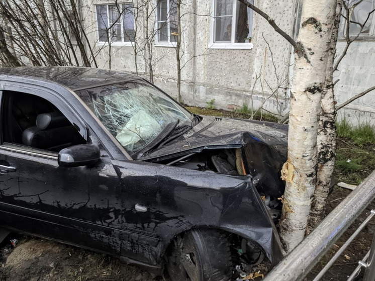 На Мурманской улице в Оленегорске Mercedes встретился с березой лоб в лоб