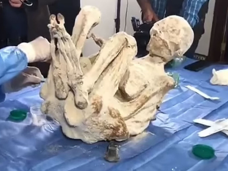 Исследующие "инопланетные мумии" в Перу ученые поделились новыми находками