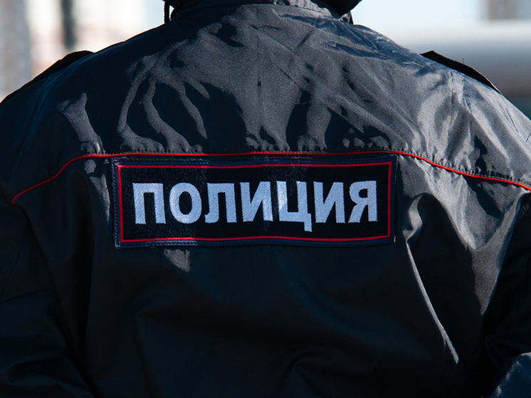 На Красной площади задержали душевнобольного, направлявшегося к президенту