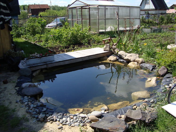 Каким будет лето-2025 после аномально тёплой зимы: синоптики рассказали, к чему должны быть готовы все садоводы и горожане