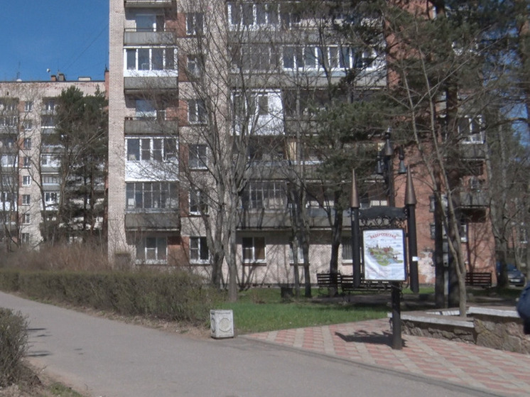 В Сосновом Бору развратник приставал к девочке в пункте выдачи заказов