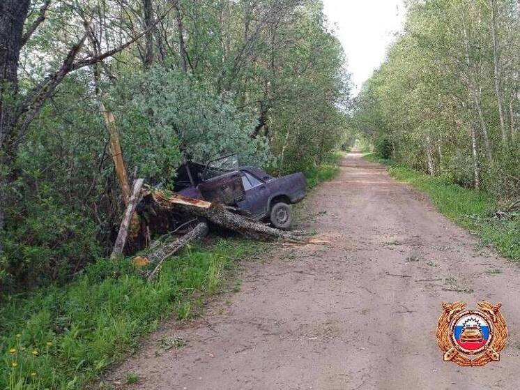 Водитель ВАЗ влетел в дерево на дороге в Тверской области