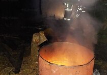В садоводческом товариществе в Чебоксарах в ночь на 25 мая произошел пожар, вызванный неосторожным обращением с огнем при сжигании мусора