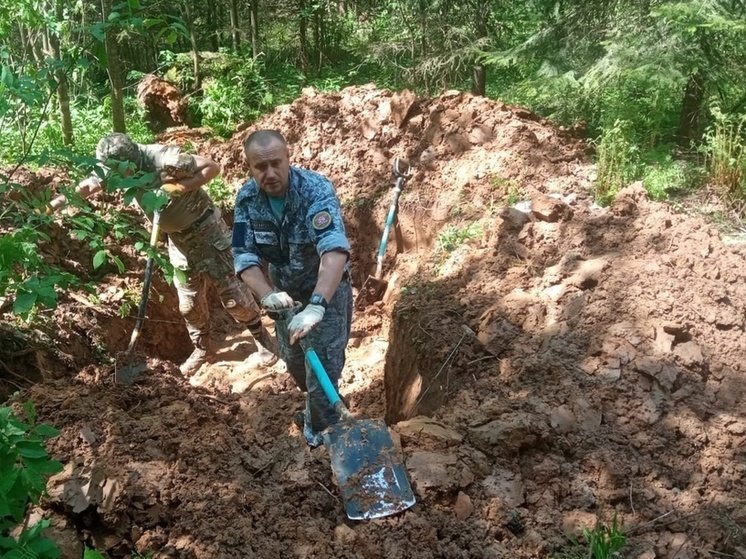 В Тверской области поисковики обнаружили останки 22 бойцов РККА