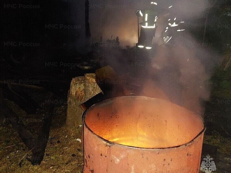 В СНТ «Юбилейный» дачники, сжигая мусор, спалили дом