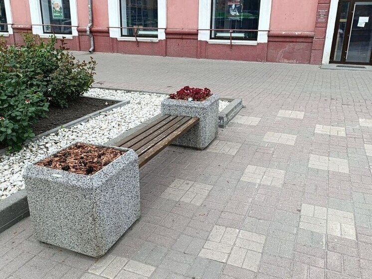 В Курске на улице Ленина украли высаженные цветы