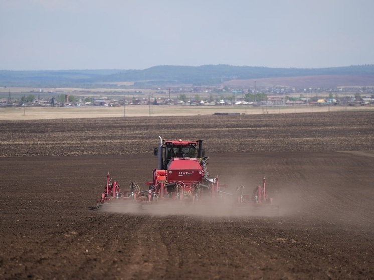  Иркутские аграрии засеяли больше половины полей