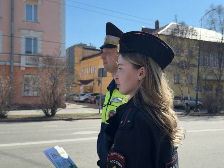 В Мурманске 26-30 мая проведут профилактические рейды против «зацепинга»