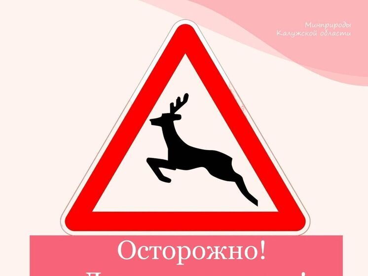 Водителей Калужской области предупредили о диких животных