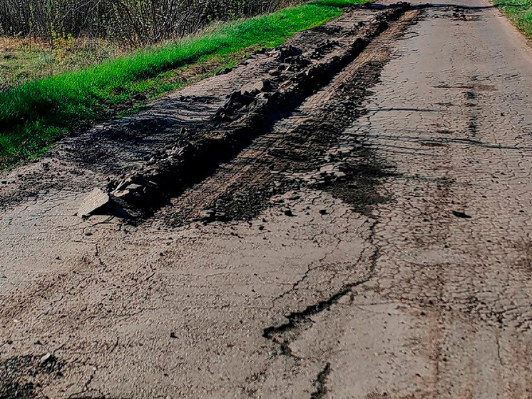 Перегруженные фуры наносят ущерб дорогам Воронежской области