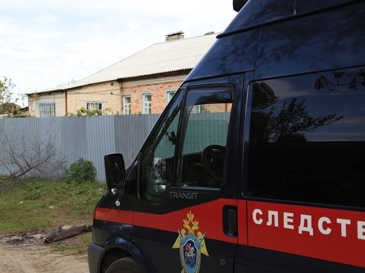 В Липецке арестован мужчина, подозреваемый в убийстве сожительницы