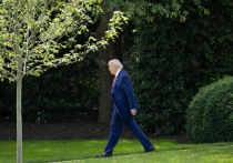 В Кремле ожидают возможного внепланового звонка от Дональда Трампа, в ходе которого он может принести извинения Владимиру Путину