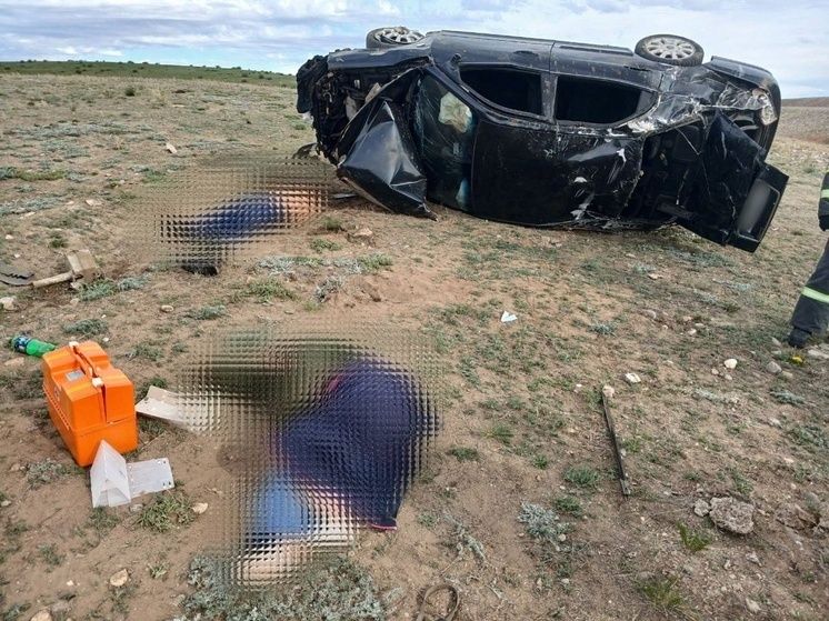В Эрзинском районе Тувы выясняются обстоятельства ДТП со смертельным исходом