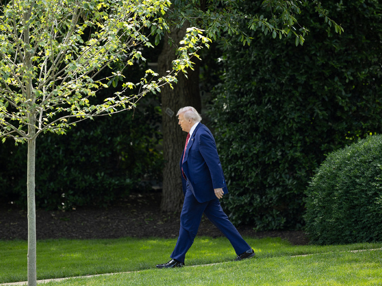 Политолог Марков: в Кремле ждут звонка Трампа с извинениями Путину